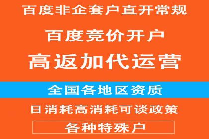 百度推广策略优化：实战案例剖析
